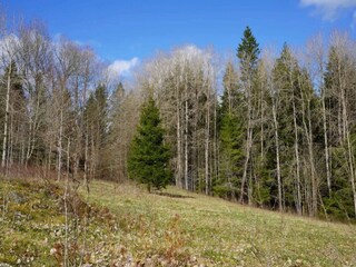 Casa de vacaciones Tenhult  20