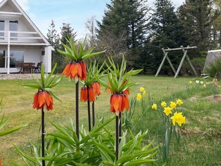 Maison de vacances Fur  5