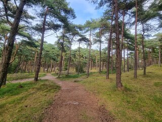 Vakantiehuis Havneby  34