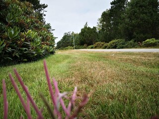 Vakantiehuis Læsø  19