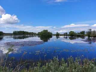 Vakantiehuis Læsø  25