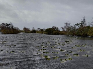 Ferienhaus Læsø  27
