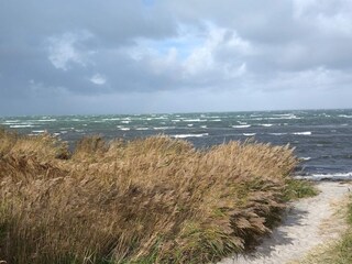 Casa de vacaciones Læsø  31