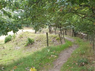 Casa per le vacanze Silkeborg  40