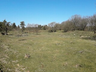 Vakantiehuis Silkeborg  13