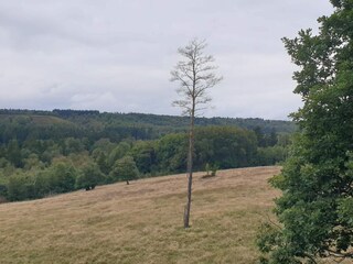 Vakantiehuis Silkeborg  22