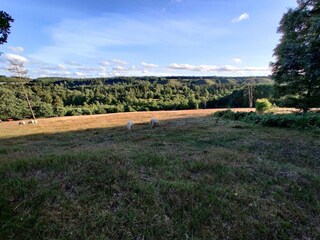 Casa per le vacanze Silkeborg  15