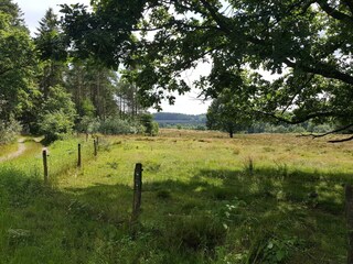 Casa per le vacanze Silkeborg  16