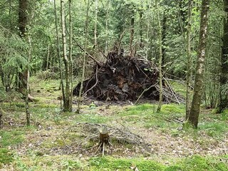 Vakantiehuis Silkeborg  17