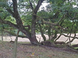 Vakantiehuis Silkeborg  18