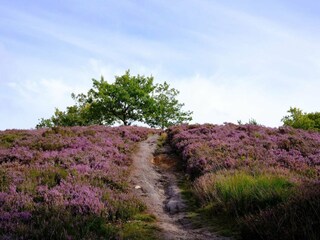 Ferienhaus Silkeborg  30