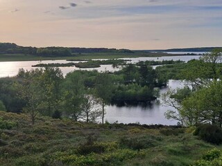Casa per le vacanze Silkeborg  19
