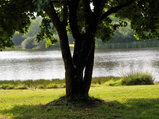 Casa per le vacanze Silkeborg  20