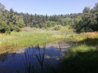 Maison de vacances Silkeborg  31