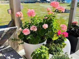 Holiday house Enviken  24