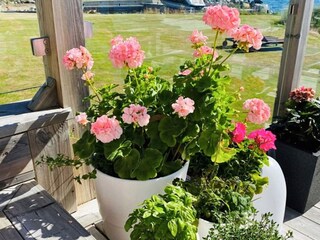 Holiday house Enviken  24