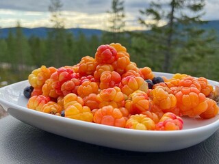 Vakantiehuis Sälen Buitenaudio-opname 1