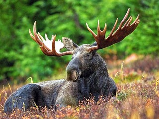 Casa per le vacanze Sälen  7