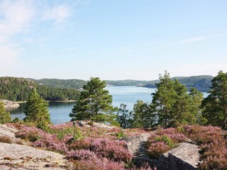 Appartamento Ellös  18