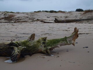 Ferienhaus Tversted  45