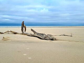 Maison de vacances Tversted  39