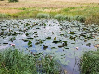 Holiday house Sjølund  32