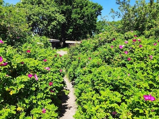 Casa de vacaciones Sjølund  15