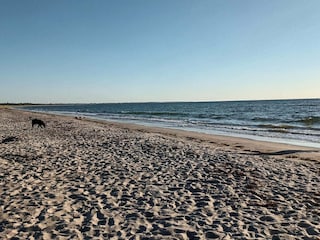 Casa per le vacanze Vaeggerløse  12