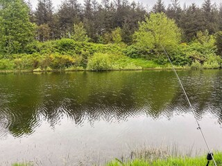 Maison de vacances Arrild  18