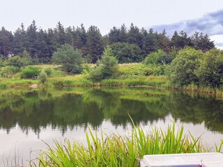 Vakantiehuis Arrild  12