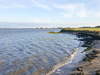 Ferienhaus Havneby  52