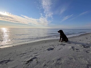 Casa per le vacanze Lyngså  11