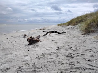 Vakantiehuis Lyngså  9
