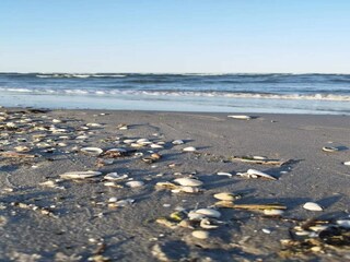 Maison de vacances Lyngså  29