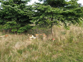 Vakantiehuis Vaeggerløse  28