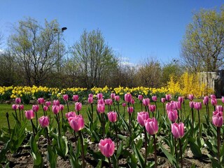 Casa per le vacanze Købingsmark  15