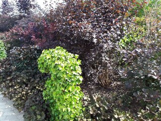 Maison de vacances Købingsmark  36