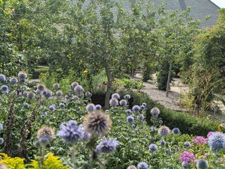 Vakantiehuis Købingsmark  20