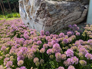 Casa per le vacanze Købingsmark  34