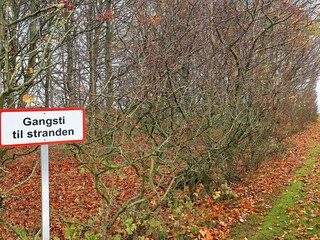 Vakantiehuis Thyholm  18