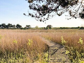 Maison de vacances Thyholm  23