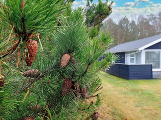 Casa de vacaciones Hals Grabación al aire libre 1
