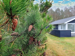 Maison de vacances Hals Enregistrement extérieur 11