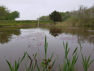 Vakantiehuis Skaven Strand  32