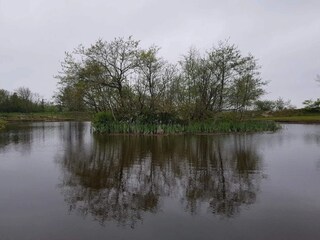 Vakantiehuis Skaven Strand  19