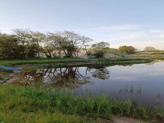 Casa de vacaciones Skaven Strand  35