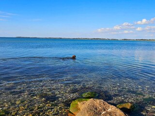 Vakantiehuis Kelstrup Strand  5