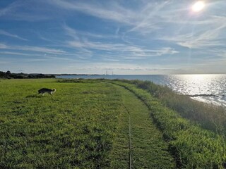 Maison de vacances Kelstrup Strand  28