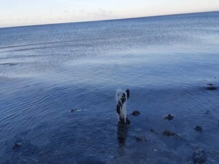 Casa per le vacanze Kelstrup Strand  8