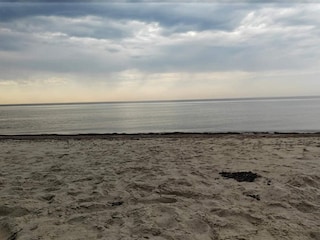 Ferienhaus Kelstrup Strand  39